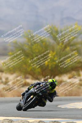 media/Apr-10-2022-SoCal Trackdays (Sun) [[f104b12566]]/Turn 5 Tree of Life (1040am)/